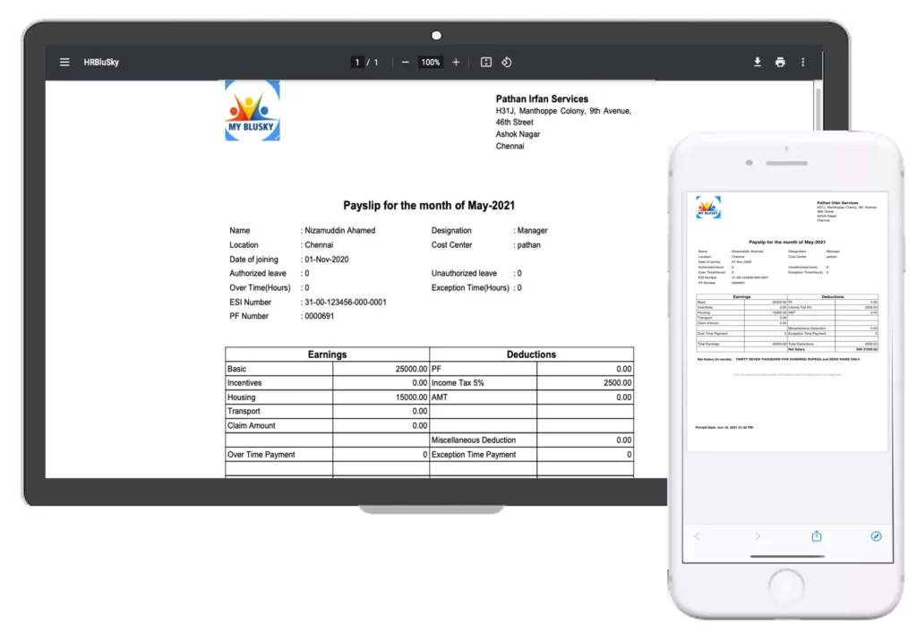 view payslip - HRBluSky