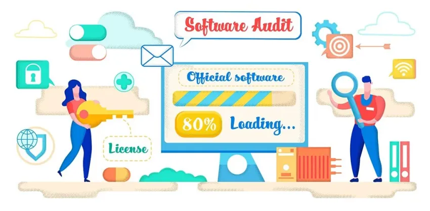 software audit