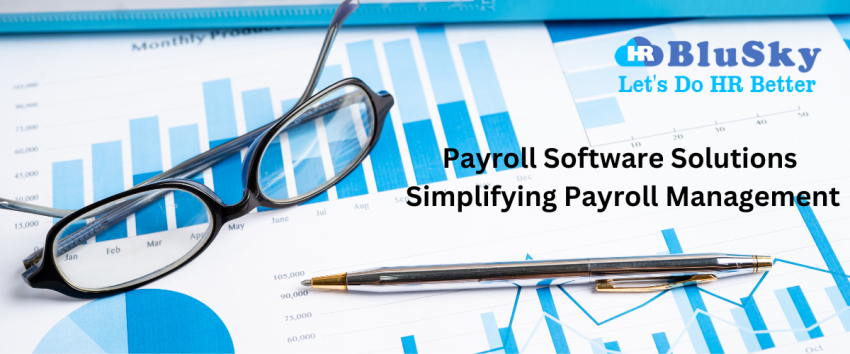 Payroll software solution